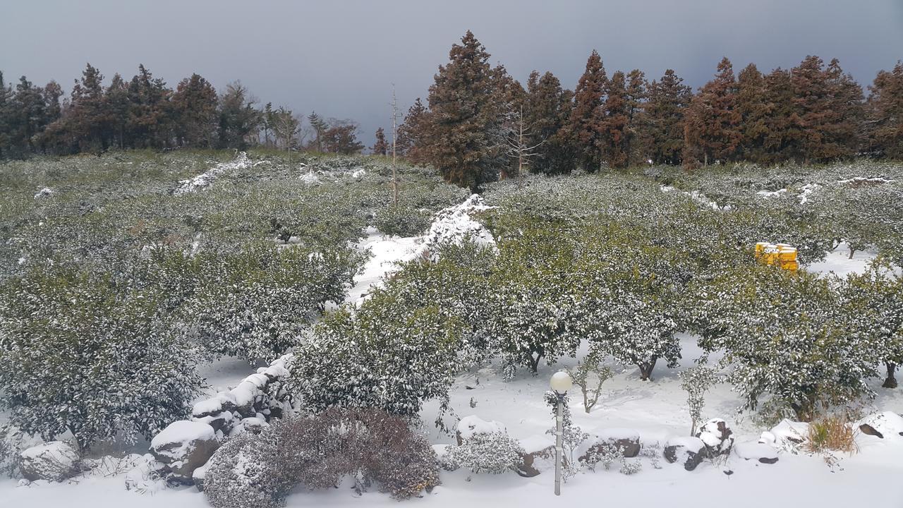 Jeju Mermuri Yerye-dong Exteriér fotografie
