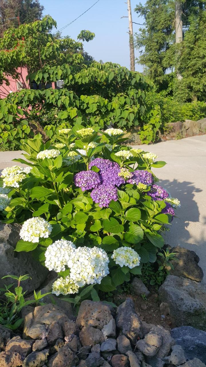 Jeju Mermuri Yerye-dong Exteriér fotografie