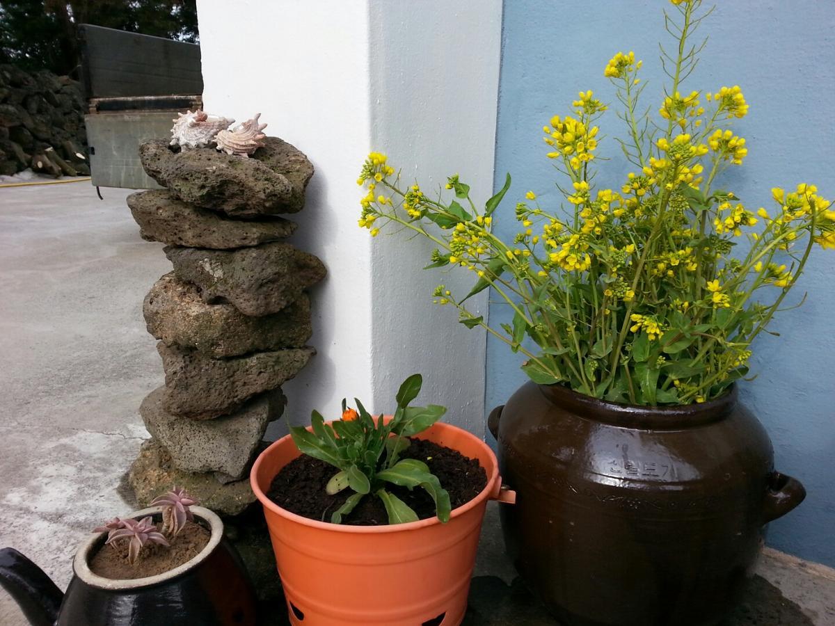 Jeju Mermuri Yerye-dong Exteriér fotografie