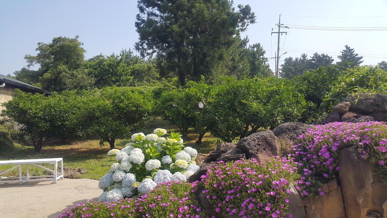 Jeju Mermuri Yerye-dong Exteriér fotografie