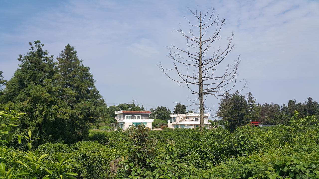 Jeju Mermuri Yerye-dong Exteriér fotografie