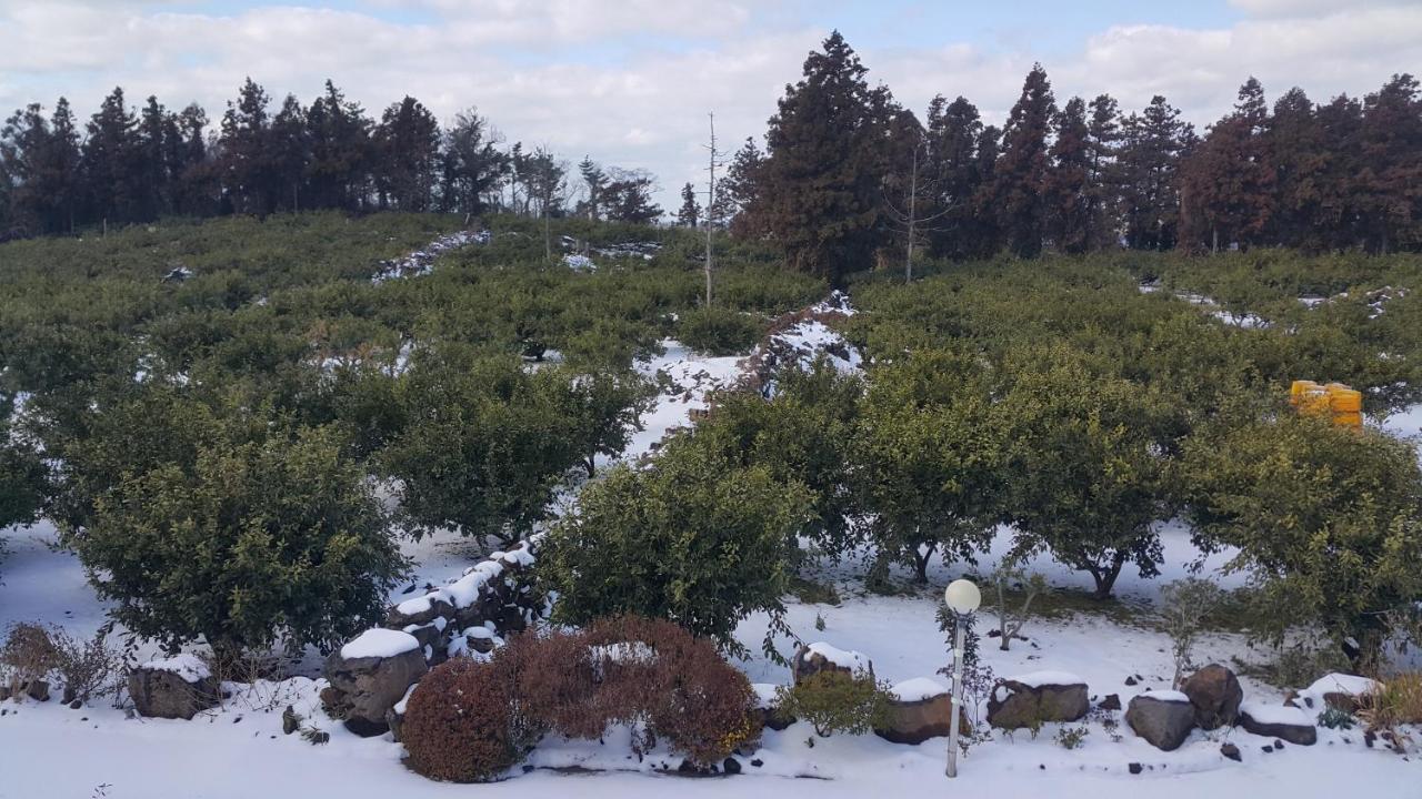 Jeju Mermuri Yerye-dong Exteriér fotografie