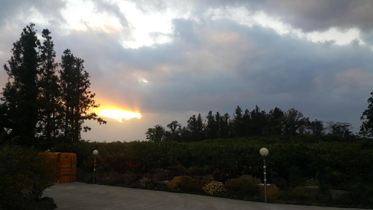 Jeju Mermuri Yerye-dong Exteriér fotografie