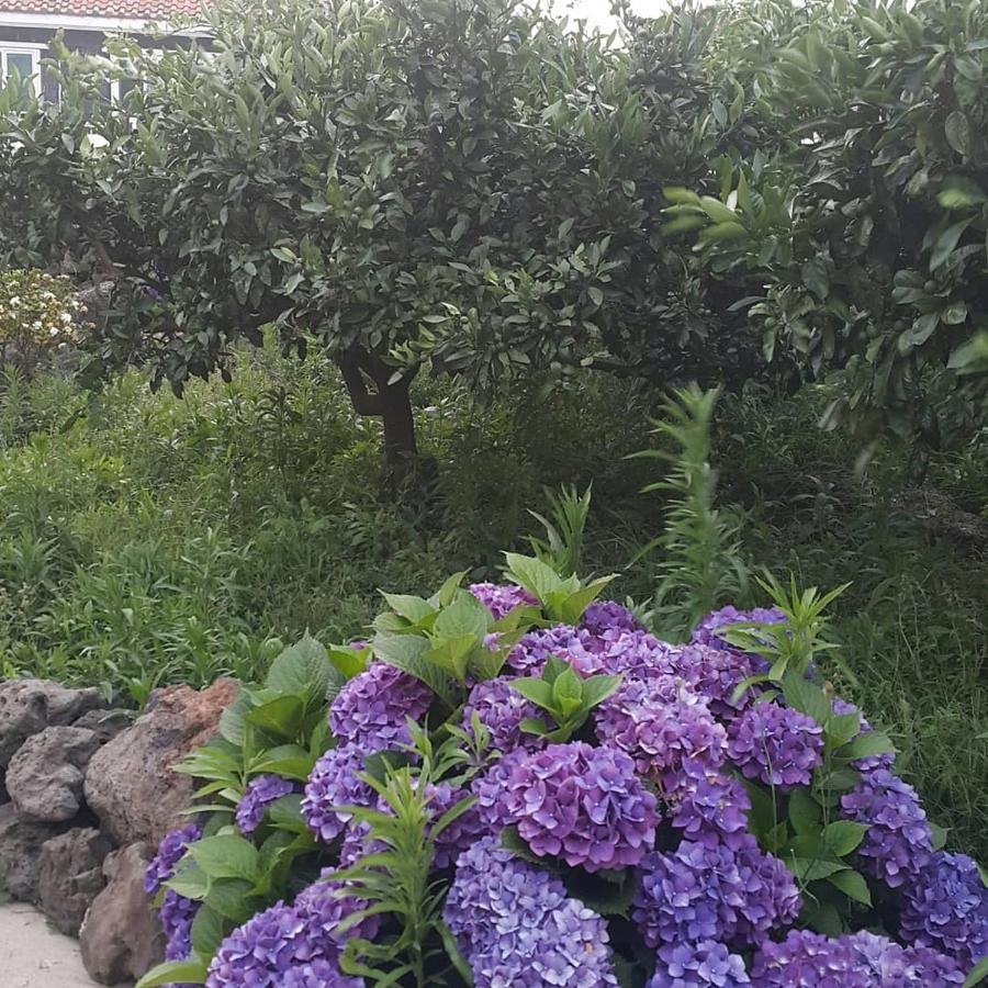 Jeju Mermuri Yerye-dong Exteriér fotografie