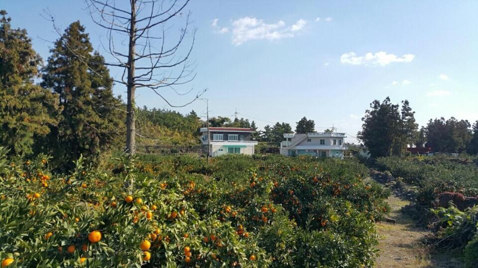 Jeju Mermuri Yerye-dong Exteriér fotografie